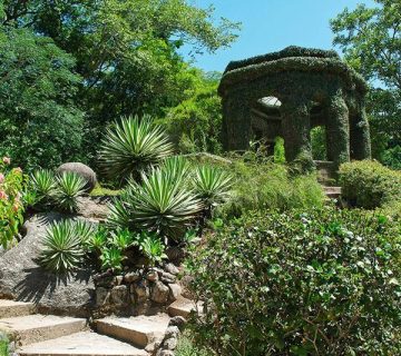 P8 1 360x320