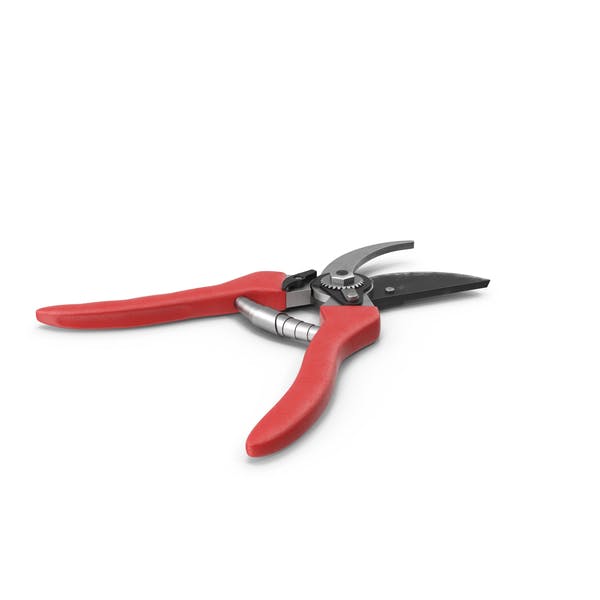 Pruning Shears